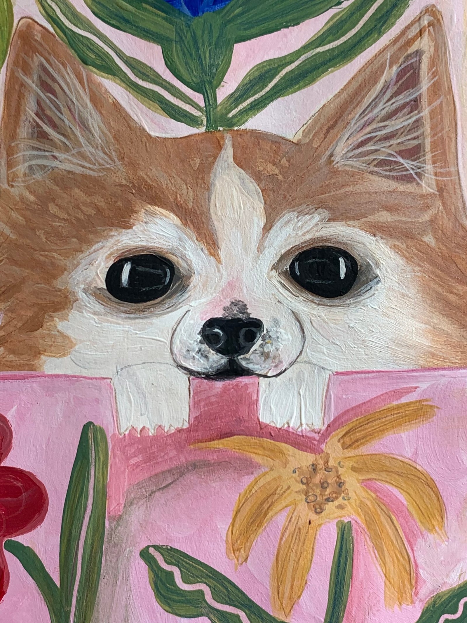 pet commission pet commission